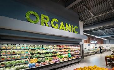 超市教案模板6篇