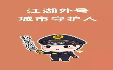 城管局个人总结6篇