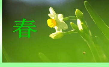 春天的作文高中作文8篇