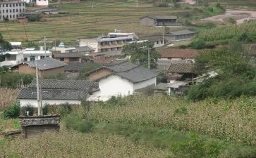 村主任述职报告范文8篇