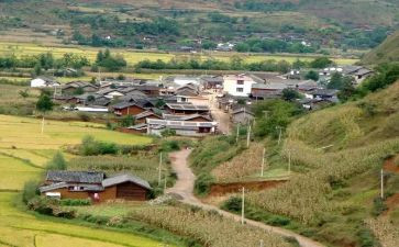 农村小学校长述职报告优质5篇