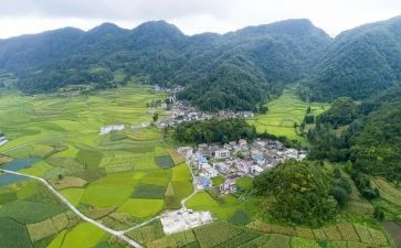 最新村主任述职报告8篇