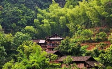 村卫生室调研报告5篇