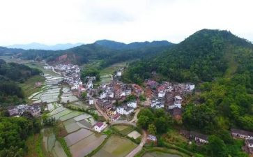 村社区个人总结模板5篇