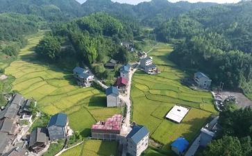 大学生村官培训心得体会5篇