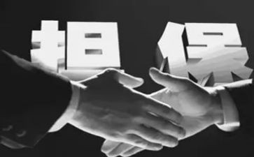 担保合同的模板最新5篇