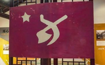 党员体会心得体会500字5篇
