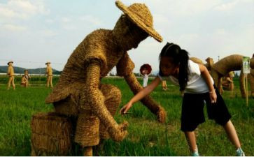 作文《稻草人》读后感8篇