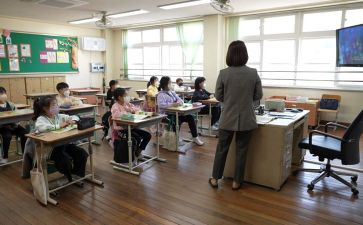 大学生指导课心得体会优秀6篇