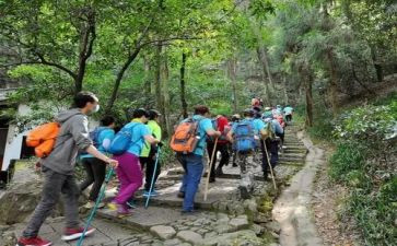 登高楼教案最新5篇