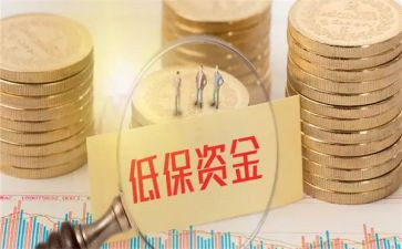 低保科个人总结8篇