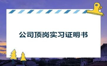 顶岗报告总结优质6篇