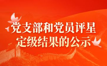 团对标定级工作总结5篇