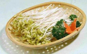 豆芽生长记作文7篇