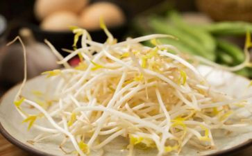 豆芽生长记作文参考6篇