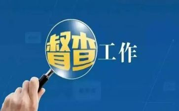 督查科年度工作计划8篇
