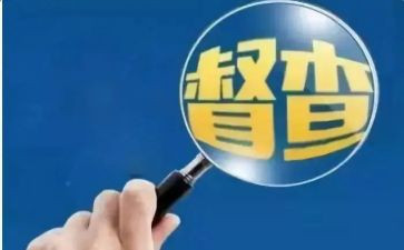 督查工作年终总结5篇