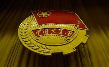 对团的心得体会1000字5篇