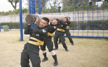 学习政法队伍整顿心得体会5篇