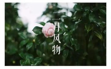 中班二月工作总结5篇