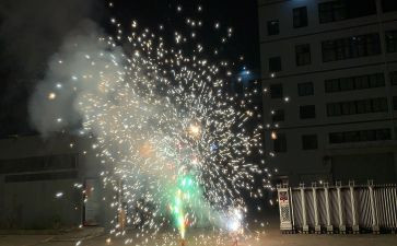 禁止燃放烟花爆竹倡议书优质7篇