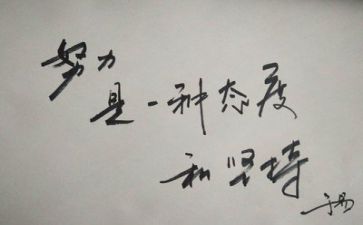 半年总结反思6篇