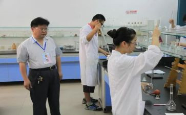 分析工的述职报告6篇