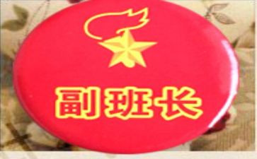 副班长个人述职报告优秀8篇