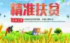 扶贫个人年终工作总结6篇