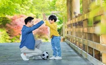 读后感父与子400字8篇