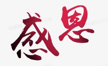 懂感恩心得体会优秀5篇