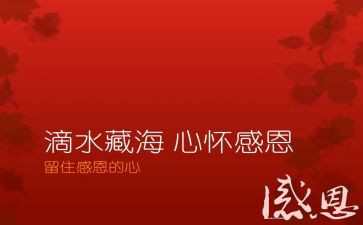 感恩的心的教师演讲稿8篇