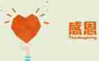 懂感恩心得体会最新8篇