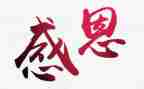 懂感恩心得体会优秀5篇