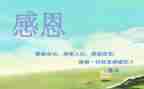 感恩的心演讲稿优质8篇