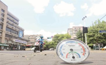高温工作总结8篇
