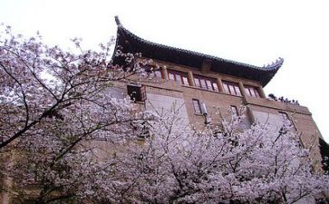 高校教师个人年度总结8篇