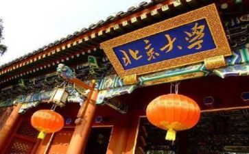 高校述职报告范文5篇