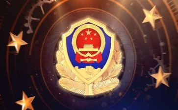 年度公安工作总结5篇