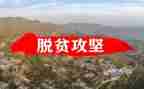 脱贫攻坚网络展心得体会8篇