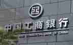 2023工商个人述职报告5篇