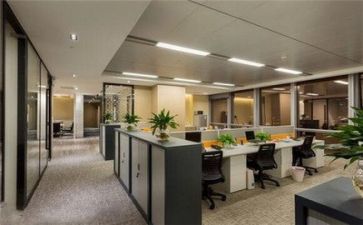 公司半年度述职报告优质7篇