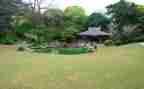 小学公园的作文6篇