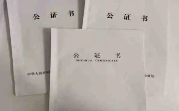 2024公证处工作总结6篇