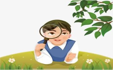 观察日记作文300字6篇