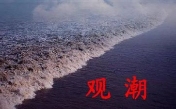 观潮的读书心得体会最新5篇