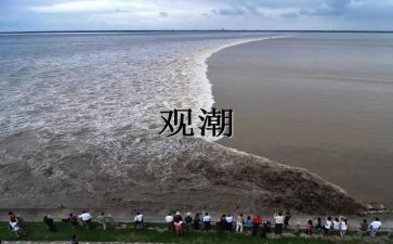 观潮的读书心得体会推荐7篇