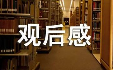 暑假安全课堂观后感6篇