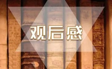 2024榜样的力量观后感7篇