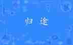 万里归途观后感400字8篇